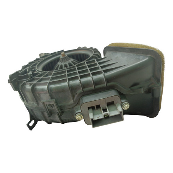 Motor Ar Forcado Ventilador Citroen C4 Pallas 2.0 180920100