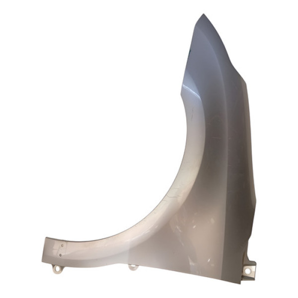 Paralama Esquerdo Citroen C4 Pallas 2008 09 18 11 12